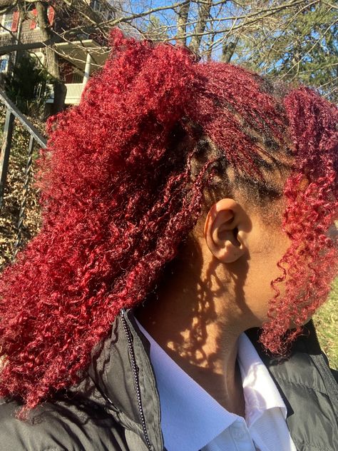 Red Sisterlocks, Microloc Styles, Starter Loc Styles, Red Locs, Hair Colour Inspo, Loc Inspiration, Beautiful Locs, Coloured Hair, Sisterlocks