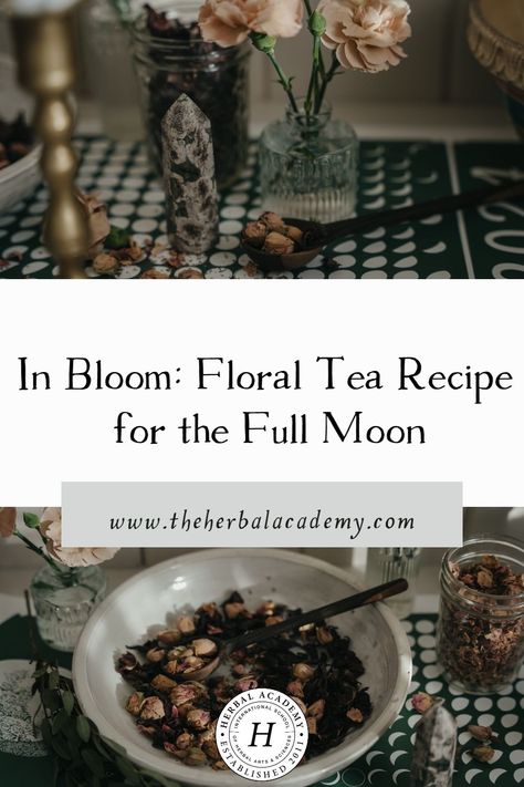 In Bloom: Floral Tea Recipe for the Full Moon | Herbal Academy | Sipping a cup of this Full Moon Floral Tea can help bring about a sense of calm and lightness in the heart. Full Moon Tea, Medicinal Teas, Moon Food, Herbal Academy, Medicinal Tea, Harvesting Herbs, Tea Diy, Herbal Recipes, Wild Edibles