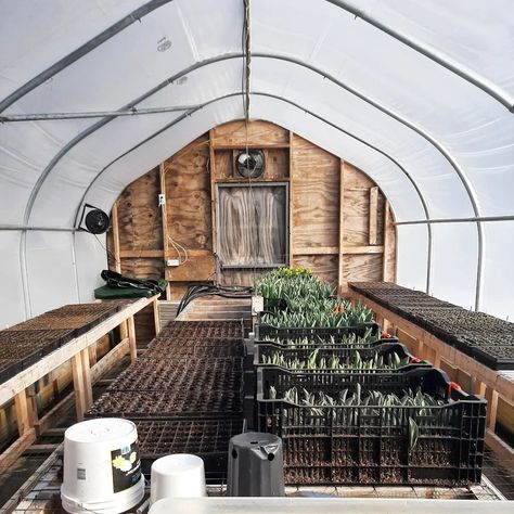 Hoop house from @meadowridgeperennials Hoop House Greenhouse Inside, Hinged Hoop House, Hoop House Greenhouse, Hoop Greenhouse, Greenhouse Hoop, Greenhouse Tunnel, Winter Hoop House Gardening, High Tunnel Greenhouse, Vintage French Doors