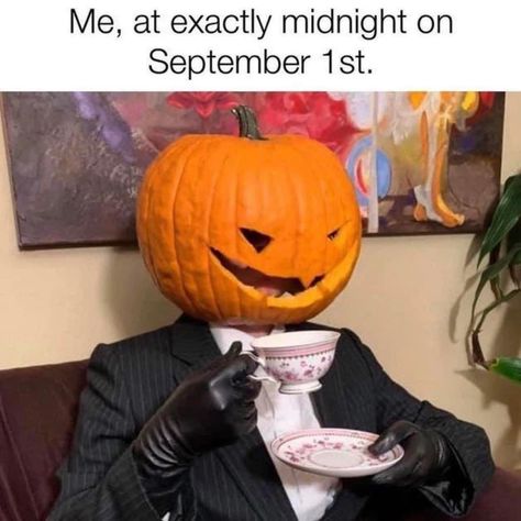 Halloween Memes, Too Soon, Halloween Wallpaper, Really Funny Memes, Halloween Season, Bones Funny, Halloween Funny, Vintage Halloween, Spooky Season