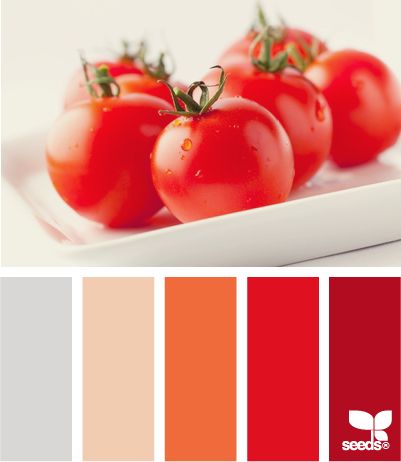 Tomato Color, Seeds Color, Red Colour Palette, Color Palate, Design Seeds, Red Kitchen, Decorating Inspiration, Red Design, Living Room Colors