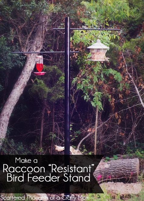 How to make a Raccoon Resistant Bird Feeder stand. Bird Feeder Hangers, Bird Feeder Stands, Bird Feeder Station, Backyard Birds Sanctuary, Backyard Birds Feeders, Metal Bird Feeders, Best Bird Feeders, Bird Feeder Craft, Bird Feeder Poles