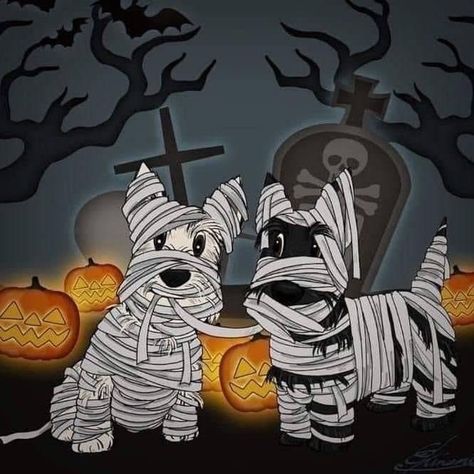 Schnauzer Art, Scottie Terrier, Highlands Terrier, Schnauzer Puppy, Westie Dogs, Mini Schnauzer, West Highland Terrier, West Highland White Terrier, Dog Costumes