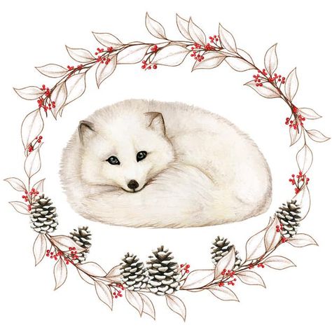 White Fox Illustration, Arctic Fox Art, Volpe Artica, Watercolor Peacock, Space Watercolor, Fox Den, Zestaw Ikon, Fox Painting, Vector Poster