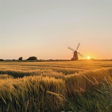 Sunset Windmill Scene: A tranquil windmill overlooks a golden wheat field during a breathtaking sunset in the countryside. #sunset #windmill #wheat #field #countryside #aiart #aiphoto #stockcake ⬇️ Download and 📝 Prompt 👉 https://ayr.app/l/iT9d Fox Oc, Sunset Countryside, Golden Wheat Field, Farm Windmill, Golden Wheat, Wheat Field, Scene Image, Wheat Fields, Rye