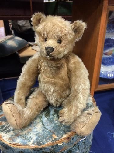 Antique 16" Gold Steiff Teddy Bear with FF Underscore Button The Hunting Party, Old Teddy Bears, Steiff Teddy Bear, Antique Teddy Bears, Mohair Teddy Bear, Teddy Bear Pictures, Teddy Bear Doll, Teddy Bear Toys, Teddy Bear Collection