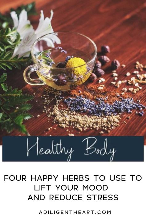 Four Happy Herbs to Use to Lift Your Mood and Reduce Stress #HealthyHome+Mind+Body Travel Apothecary, Chamomile Plant, Tea Before Bed, Valerian Root, Improve Mood, Hot Tea, Healthy Body, Apothecary, Mind Body