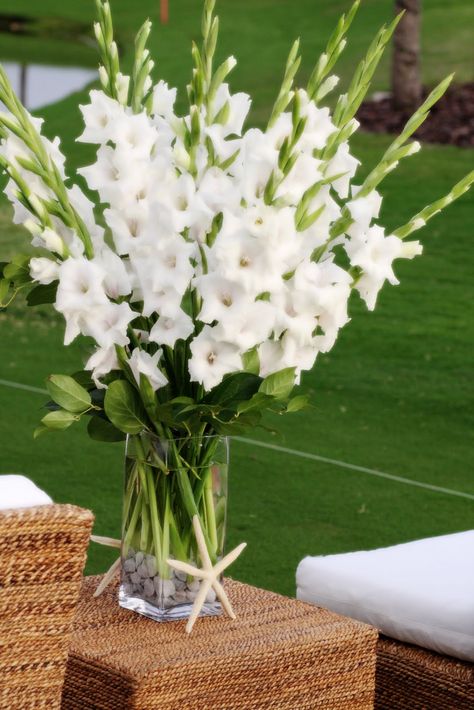 Gladiolus Centerpiece, Gladiolus Bulbs, Church Flowers, Deco Floral, Bulb Flowers, Flowers Perennials, Annual Plants, Delphinium, Summer Flowers