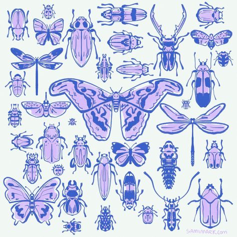 insect pinning art :-) i love zoning out and doodling bugs with the symmetry tool #insects #moths #bugart #beetles #drawing #insectpinning How To Draw Moths, Insects Doodle, Bugs To Draw, Doodle Insects, Bugs Doodle, Beetles Illustration, Beetles Drawing, Moth Drawing Simple, Insect Doodles