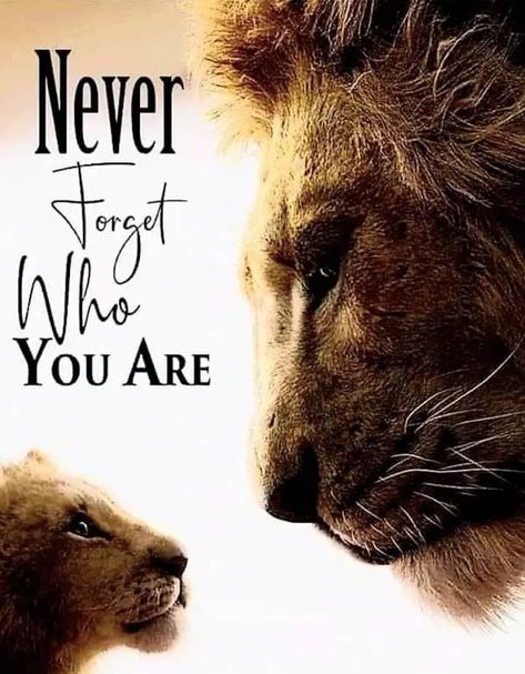 Lion Motivation, Normal Quotes, Line Art Lesson, Lion Quotes, Lion Photography, Jesus Drawings, Morning Love Quotes, Strong Mind Quotes, Everyday Quotes