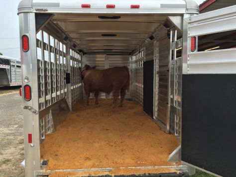 Hart Stock Goosneck- one center gate, double LED tail lights, roof vents, fiberglass roof, all aluminum construction! Show Cattle Trailers, Fiberglass Roof, Bumper Pull Horse Trailer Tack Room, Small Cattle Working Pens Design, Fence Line Hay Feeder For Cattle, Barnwood Builders, Cattle Trailers, Horse Loading Into Trailer, Livestock Barn