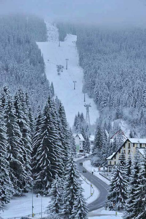 Poiana Brașov❤️ Frumusețe la superlativ Ski Travel, Brasov Romania, Visit Romania, Ski Holiday, Carpathian Mountains, Ski Holidays, Ski Slopes, Cable Cars, Brasov