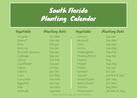 Easiest vegetables to grow in south Florida Florida Gardening Schedule, Gardening Zone 9b Florida, Florida Vegetable Planting Guide, Fall Garden Vegetables Florida, Florida Growing Calendar, Bean Varieties, Types Of Tomatoes, Planting Calendar, Easy Vegetables To Grow