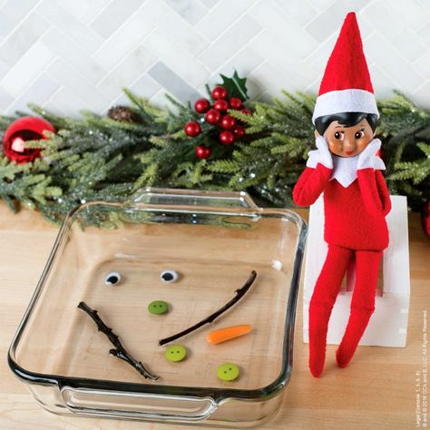 Funny Elf Ideas | The Elf on the Shelf |Scout Elf Ideas | Easy Elf Ideas Funny Christmas Quotes, Elf Ideas Easy, Elf Crafts, Elf Of The Shelf, Elf Pets, Funny Elf On The Shelf, Elf Shelf, Christmas Elf On The Shelf, Easy Elf