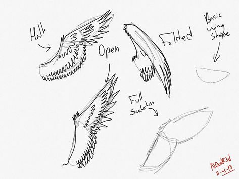 Closed Wings Drawing, Closed Wings, Wings Sketch, Hair Stenciling, Wings Drawing, Bird Wings, Drawing Quotes, Drawing Stuff, Anatomy Reference