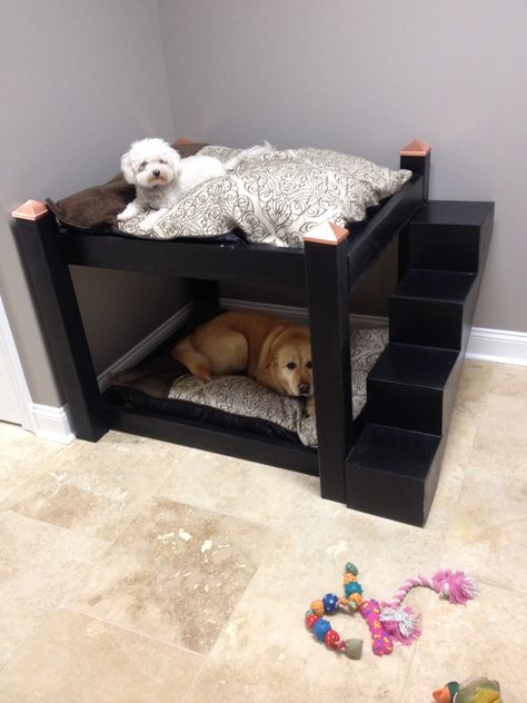 So excited about the bunk bed Alex made for the pups!! Doggie Bunk Beds, Dog Bunk Beds Diy, Bed Rooms Ideas For Couples, Dog Bunk Beds, Dog Room Decor, Dog Bedroom, Puppy Room, Diy Bunk Bed, Dog Corner