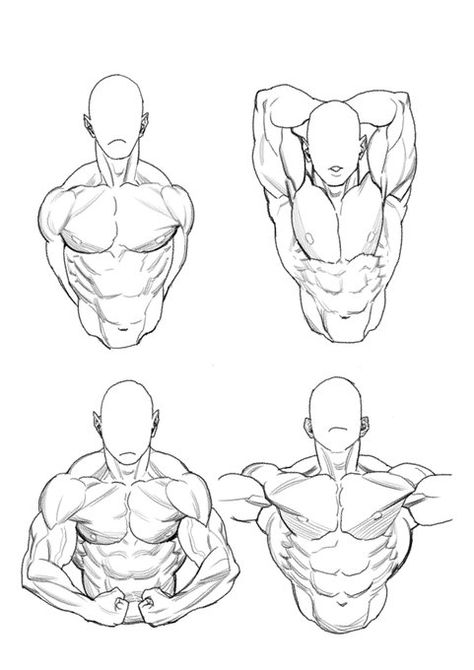 Estoy mamadisimo Men Stretching Reference, Upper Body Anatomy Drawing, Male Chest Anatomy, Drawing Models, Anatomy References, Reference Ideas, Sketch Poses, Human Anatomy Drawing, Human Figure Drawing