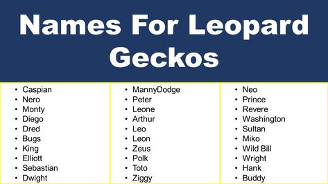 Leopard Gecko Names, Gecko Names, Names Male, Female Leopard, Monster Names, Cute Gecko, Johnny And June, Dream Pet, Leopard Geckos