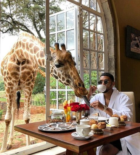 A special breakfast ~ Giraffe Manor, Kenya  Phot Giraffe Manor, African Love, Kenya Travel, The Great Migration, Animal Family, Helicopter Ride, Dream Place, A Giraffe, Boyfriend Photos