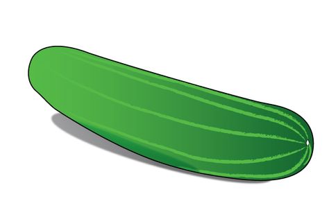 How to Draw a Cucumber Win Lose Or Draw, Drawing Pictures For Kids, Vegetable Garden Markers, Fruits Drawing, Growing Cucumbers, Easy Doodle Art, Garden Markers, Simple Doodles, Cute Images