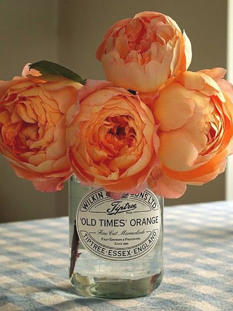 http-::crushculdesac.tumblr.com:post:32308914726 English Tea Roses, Peonies Centerpiece, Peach Peonies, Fleur Orange, Cabbage Roses, Floral Prints Art, Orange Flower, Gardening Supplies, Table Flowers