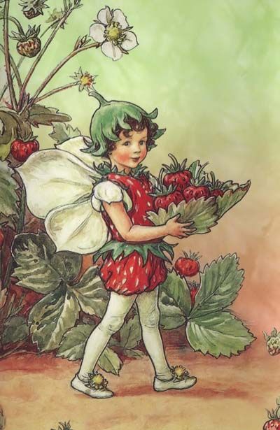 Fairy Alphabet, Strawberry Fairy, Arte Indie, Strawberry Flower, Fairy Illustration, Cicely Mary Barker, Fairy Artwork, Vintage Fairies, Flower Fairies