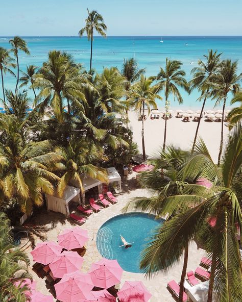 Morning magic in Hawaii 🌺 No filter, no editing. I couldn’t even imagine it would be so beautiful here! And that we are staying at the most iconic resort in Waikiki - @royal_hawaiian! Guests can enjoy two of Hawaii’s finest hotel pools: the serene and intimate Malulani Pool, as well as the vibrant Helumoa Playground, ideal for families and children! Hard to beat this paradise! 🌴🌊 #RoyalHawaiian #DoYouDreamInPink #OnlyAtTheRoyal Hawaii Pool, Royal Hawaiian Hotel, Morning Magic, Hawaiian Resorts, Hawaii Hotels, Hawaii Trip, Hotel Pool, No Filter, Hawaii Travel