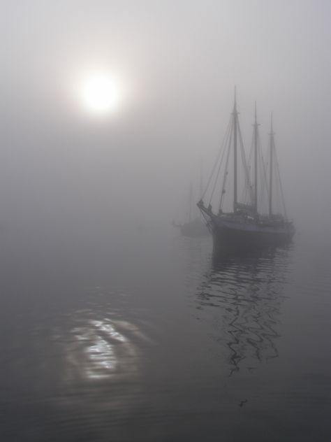 Tall ships off Maine coast in fog with watery sun. Gordon Thorne photo Dark Nautical Aesthetic, Maine Aesthetic, New England Coast, Nautical Aesthetic, Navi A Vela, Foggy Weather, Maine Living, Foggy Day, Maine Travel