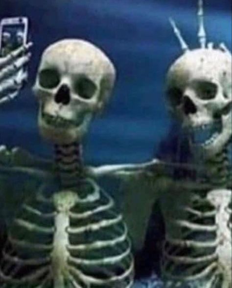 Skeleton Matching Pfp, Laughing Skeleton, Skeleton Decorations Outdoor, Skeleton Memes, Fake Skeleton, Halloween Skeleton Makeup, Two Skeletons, Joe Mama, Wolf Game