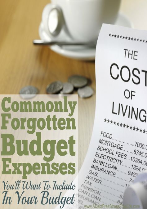 Budget Expenses, Navy Wife, Living On A Budget, Budget Saving, Budget Printables, Cost Of Living, Frugal Tips, Frugal Living Tips, Budgeting Finances