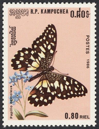 Cambodia - Michel Nr 771 | Bernd Kirschner | Flickr Old Stamps Vintage, Vintage Stamps Postage, Postage Stamp Design, Commemorative Stamps, Post Stamps, Cat Stamp, Scrapbook Printing, Old Stamps, Butterfly Stamp