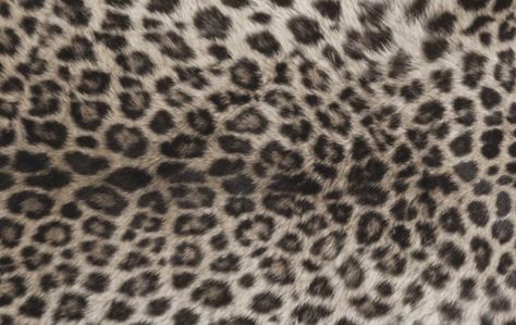 Cheetah Print Computer Wallpaper, Laptop 1080p Wallpaper, Leopard Ipad Wallpaper, Leopard Print Desktop Wallpaper, Cheetah Print Desktop Wallpaper, Cheetah Desktop Wallpaper, Cheetah Laptop Wallpaper, Leopard Computer Wallpaper, Leopard Print Wallpaper Macbook