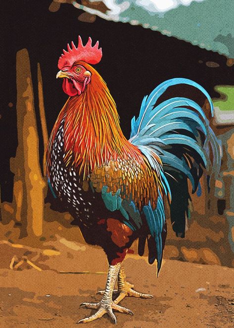 Colorful Rooster Painting, Rooster Art Painting, Rooster Photography, Pictures Of Chickens, Rooster Artwork, Rooster Images, Farm Animal Paintings, Camels Art, Bird Painting Acrylic