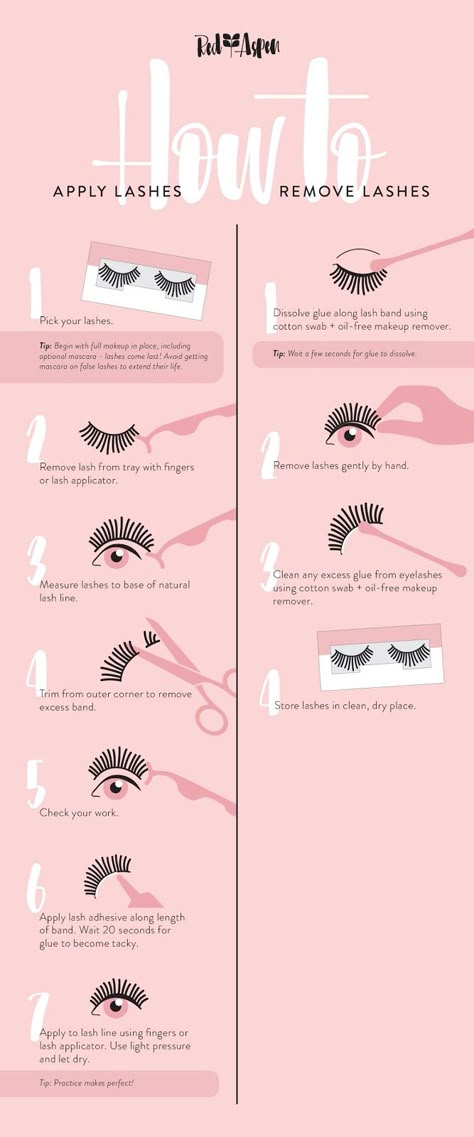 Different False Lash Styles, How Put Eyelashes On, Red Aspen Lashes, How To False Lashes, Lash Application Tips, How To False Eyelashes, How To Apply Falsies, How To Use False Eyelashes, How To Make False Eyelashes