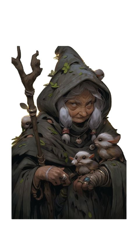 Dnd Old Lady, Shopkeeper Character Design, Dungeons And Dragons Npc, Gnome Character Art, D&d Npc, Shifter Dnd, Dnd Gnome, Gnome Female, Gnome Dnd