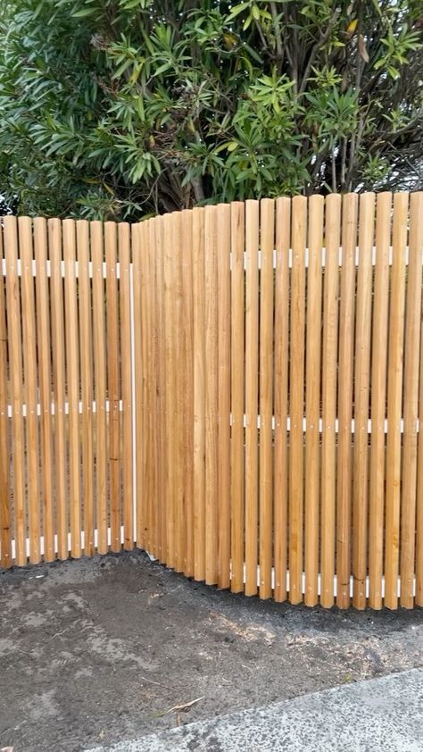 Fence Transition, Curved Fencing Ideas, Curved Fence Ideas, Curved Fence, Privacy Gate, White Wooden Fence, Curved Trellis, Curved Fence Ideas Privacy Screens, Front Timber Fence