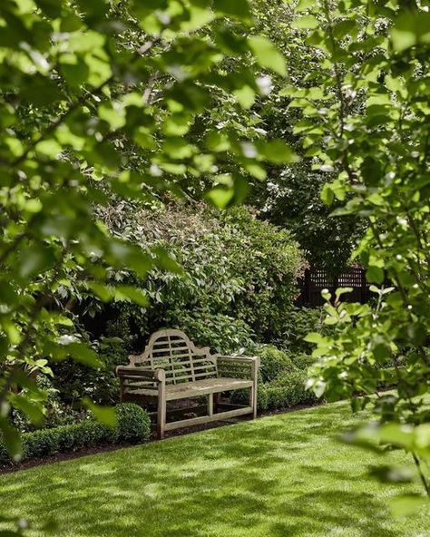 Andrea Scharff on Instagram: "This beautifully placed garden bench is good for the soul! . . . . . Garden: @eugenegilligandesign Photo by @hughdaviesphoto #gardenbenches #gardenbench #bench #dedicated #landscapers #architects #work #grass #greenery #greenhouse #greendesign #dreamy #peaceful #gooddesign #designers #greengrass #greengreengrass #bush #australia #australiagram #gardenview #gardenviews" English Garden Bench, Garden With Bench, Bench For Garden, Lutyens Bench, Landscaping Around Patio, Backyard View, Gertrude Jekyll, Backyard Views, Bench Designs