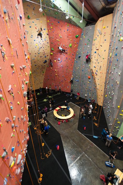 Climbing Walls Indoor Climbing Wall, Rock Climbing Gym, Climbing Walls, Indoor Rock Climbing, Stair Climbing, Rock Climbing Wall, Indoor Climbing, Climbing Gym, Organisation Hacks