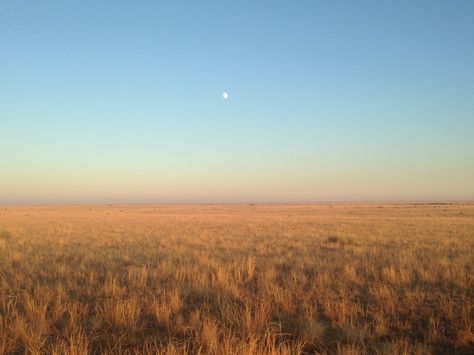 Colorado Prairie. West of La Junta. Western Prairie Aesthetic, Prairie Photography, Prairie Aesthetic, Prairie Landscape, Plains Landscape, Dark Forest Aesthetic, Great America, The Lone Ranger, Watercolor Projects