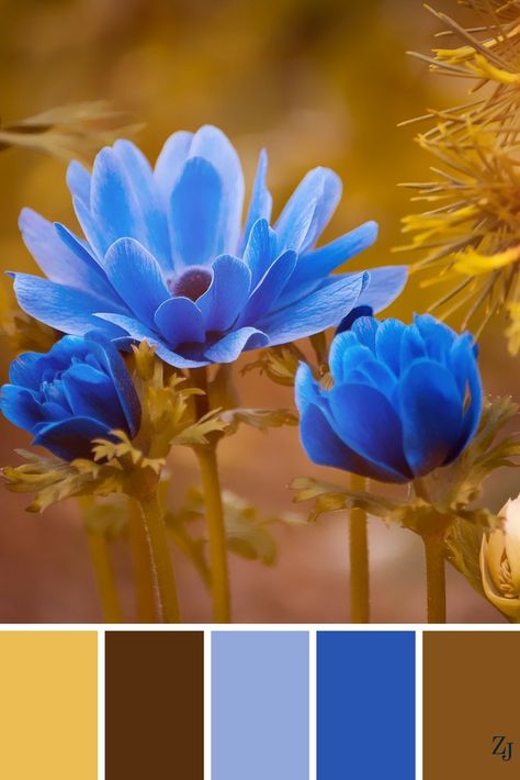 ZJ Colour Palette 584 #colourpalette #colourinspiration Painting Palette, Spring Color Palette, Color Schemes Colour Palettes, Color Palate, Blue Colour Palette, Color Palette Design, Color Balance, Arte Inspo, Colour Schemes