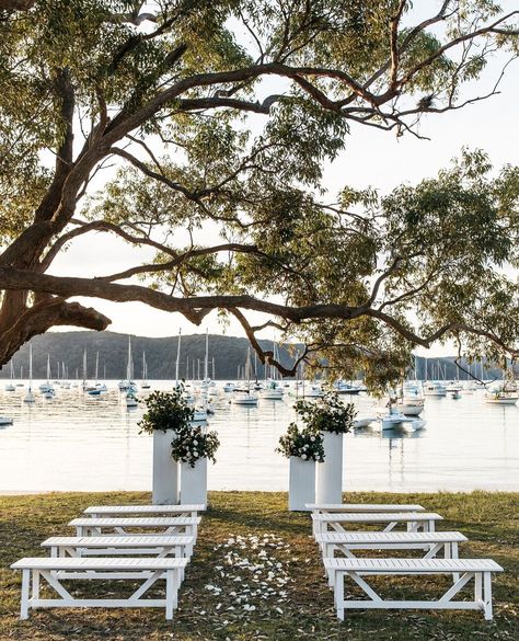 The Boathouse Palm Beach’s Instagram post: “CEREMONY LOCATION Under the trees at Clareville Beach 🍃 Ceremony Styling by @theboathousegroup_” Waterfront Wedding Ceremony, Ceremony Styling, The Boathouse, Beachside Wedding, Ceremony Design, Beach Ceremony, Waterfront Wedding, Seaside Wedding, Coastal Wedding