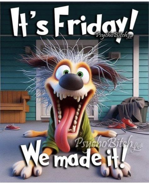 Good Morning Friday Funny Hilarious, It’s Friday Funny, Good Morning Friday Funny, Its Friday Humor, Happy Friday Funny Humor, Chicken Wisdom, Verknipte Humor, Friday Dog, We Made It To Friday