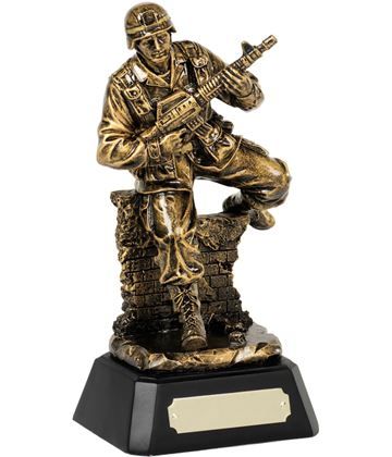 Military Trophies | Trophy Store Military Awards, Ecommerce Website Development, Awards Trophy, Online Retail, Antique Gold, Order Now, Free Delivery, Statue, Quick Saves