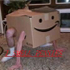 He smells pennies Amazon Box Costume Funny, Amazon Box Costume, I Smell Pennies, Boxing Halloween Costume, Box Costumes, Amazon Box, Random Video, Reaction Pics, Least Favorite