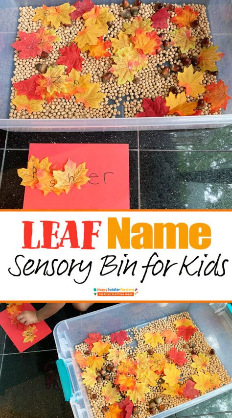 Cheap Fall Sensory Bin, Easy Fall Activities For Toddlers, Name Sensory Bin, Leaf Theme Preschool Activities, Leaf Preschool Activities, Leaf Sensory Bin, Leaf Activities For Toddlers, Busy Bins, Nanny Activities