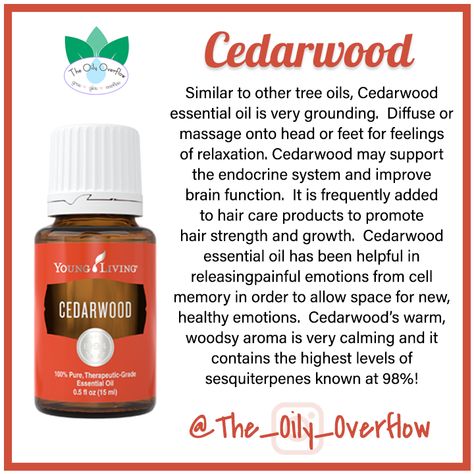 Benefits Of Cedarwood Essential Oil, Cedarwood Essential Oil Uses Benefits Of, Cedarwood Oil Benefits, Ceaderwood Essential Oil Benefits, Cedar Oil Benefits, Cedarwood Essential Oil Young Living, Cedarwood Essential Oil Benefits, Biblical Oils, Cedarwood Essential Oil Uses