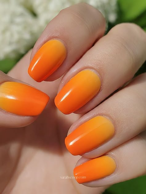 35+ Orange Nail Designs To Try This Summer Orange Nails Birthday, Bright Orange Nail Designs, Yellow And Orange Nails Design, Summer Orange Nails, Orange Nail Ideas, Orange Color Shades, Bright Orange Nails, Orange Ombre Nails, Oval Acrylic Nails