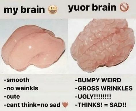 Smooth Brain, Gay Meme, Brain Meme, My Brain, Fb Memes, Lose My Mind, Funny Laugh, The Words, Mood Pics