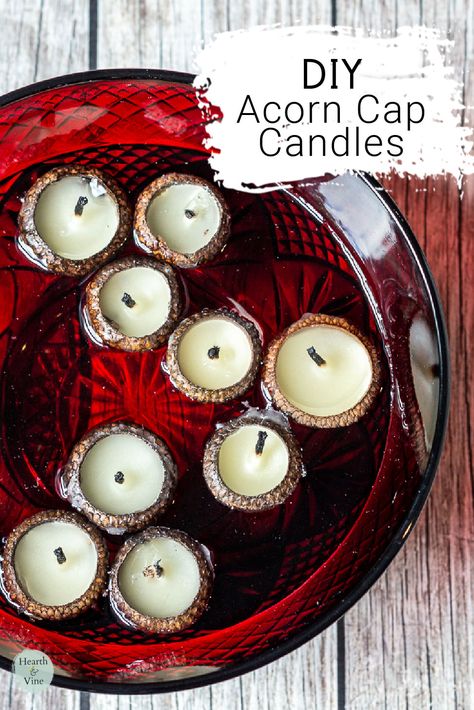 Learn how to make beeswax acorn cap candles and bring a bit of nature's beauty into your home decor Acorn Floating Candles, Floating Acorn Candles, Acorn Cap Candles, Acorn Crafts Diy, Acorn Top Crafts, Acorn Cap Crafts, Beeswax Gifts, Acorn Crafts For Adults, Acorn Candles