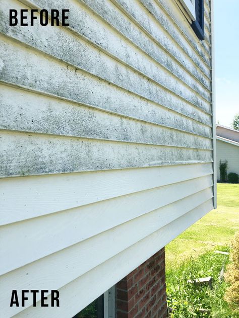 Cleaning Outside Of House, How To Clean Mold Off Vinyl Siding, Clean Exterior Of House, Best Way To Clean Vinyl Siding, Clean Siding On House, Changing Siding On House, Cleaning Vinyl Siding On House, Cleaning Siding On House, Clean Outside Of House